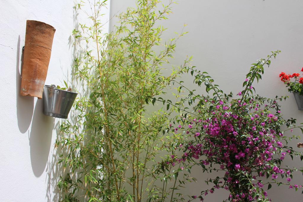 Room Tarifa Exterior photo